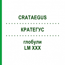 КРАТЕГУС (CRATAEGUS) LM XXX глобули 5 г - Гомеопатия DHU