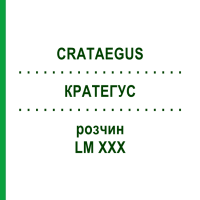 КРАТЕГУС (CRATAEGUS) LM XXX розчин 10 мл - Гомеопатія DHU