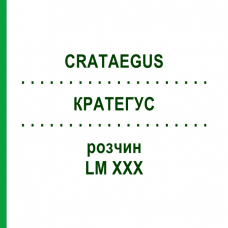 КРАТЕГУС (CRATAEGUS) LM XXX раствор 10 мл - Гомеопатия DHU