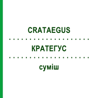 КРАТЕГУС (CRATAEGUS) смесь 50 мл - Гомеопатия WELEDA