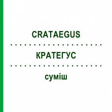 КРАТЕГУС (CRATAEGUS) суміш 50 мл - Гомеопатія WELEDA