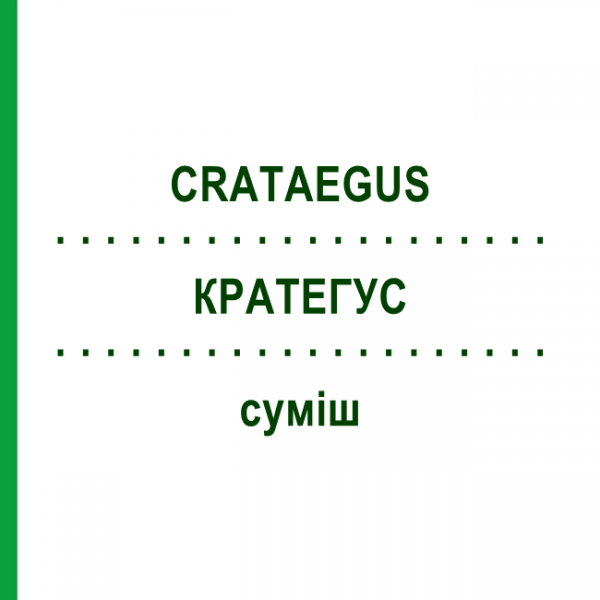 КРАТЕГУС (CRATAEGUS) смесь 50 мл - Гомеопатия WELEDA
