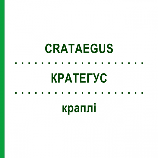 КРАТЕГУС (CRATAEGUS) капли 50 мл - Гомеопатия ZIEGLER HOMOOPATHIKA