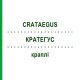 КРАТЕГУС (CRATAEGUS) капли 50 мл - Гомеопатия ZIEGLER HOMOOPATHIKA