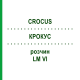 КРОКУС (CROCUS) LM VI раствор 10 мл - Гомеопатия DHU