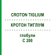КРОТОН ТИГЛИУМ (CROTON TIGLIUM) C 200 глобули 10 г - Гомеопатия DHU