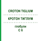 КРОТОН ТИГЛИУМ (CROTON TIGLIUM) C 6 глобули 1,5 г - Гомеопатия GUDJONS