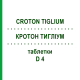 КРОТОН ТИГЛИУМ (CROTON TIGLIUM) D 4 таблетки 80 шт - Гомеопатия DHU