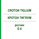 КРОТОН ТИГЛИУМ (CROTON TIGLIUM) D 6 раствор 20 мл - Гомеопатия DHU