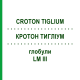 КРОТОН ТИГЛИУМ (CROTON TIGLIUM) LM III глобули 5 г - Гомеопатия DHU