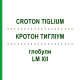 КРОТОН ТИГЛИУМ (CROTON TIGLIUM) LM XII глобули 5 г - Гомеопатия DHU