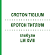 КРОТОН ТИГЛИУМ (CROTON TIGLIUM) LM XVIII глобули 5 г - Гомеопатия DHU