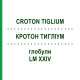 КРОТОН ТИГЛИУМ (CROTON TIGLIUM) LM XXIV глобули 5 г - Гомеопатия DHU