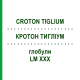 КРОТОН ТИГЛИУМ (CROTON TIGLIUM) LM XXX глобули 5 г - Гомеопатия DHU
