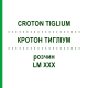 КРОТОН ТИГЛИУМ (CROTON TIGLIUM) LM XXX раствор 10 мл - Гомеопатия DHU