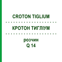 КРОТОН ТИГЛИУМ (CROTON TIGLIUM) Q 14 раствор 15 мл - Гомеопатия GUDJONS