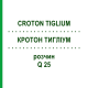 КРОТОН ТИГЛИУМ (CROTON TIGLIUM) Q 25 раствор 15 мл - Гомеопатия GUDJONS