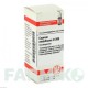 КУПРУМ МЕТАЛЛИКУМ (CUPRUM METALLICUM) D 200 глобули 10 г - Гомеопатия DHU