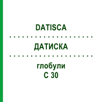 ДАТИСКА (DATISCA) C 30 глобули 10 г - Гомеопатия DHU