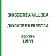 ДИОСКОРЕЯ ВИЛЛОЗА (DIOSCOREA VILLOSA) LM VI раствор 10 мл - Гомеопатия DHU