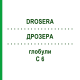ДРОЗЕРА (DROSERA) C 6 глобули 1,5 г - Гомеопатія GUDJONS
