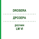 ДРОЗЕРА (DROSERA) LM VI раствор 10 мл - Гомеопатия DHU