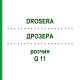 ДРОЗЕРА (DROSERA) Q 11 розчин 15 мл - Гомеопатія GUDJONS