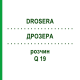 ДРОЗЕРА (DROSERA) Q 19 розчин 15 мл - Гомеопатія GUDJONS