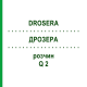 ДРОЗЕРА (DROSERA) Q 2 розчин 15 мл - Гомеопатія GUDJONS