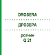ДРОЗЕРА (DROSERA) Q 21 розчин 15 мл - Гомеопатія GUDJONS
