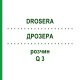 ДРОЗЕРА (DROSERA) Q 3 розчин 15 мл - Гомеопатія GUDJONS