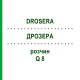 ДРОЗЕРА (DROSERA) Q 8 розчин 15 мл - Гомеопатія GUDJONS