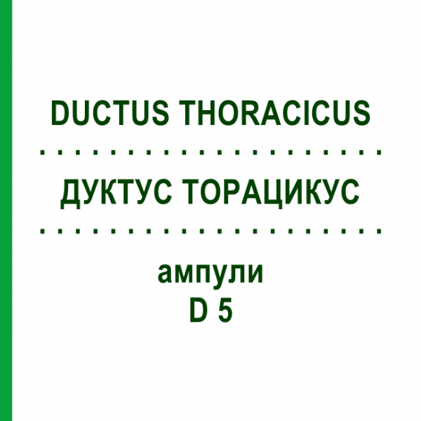 ДУКТУС ТОРАЦИКУС (DUCTUS THORACICUS) D 5 ампули 10x1 мл - Гомеопатія WALA HEILMITTEL
