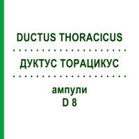 ДУКТУС ТОРАЦИКУС (DUCTUS THORACICUS) D 8 ампулы 10x1 мл - Гомеопатия WALA HEILMITTEL