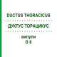 ДУКТУС ТОРАЦИКУС (DUCTUS THORACICUS) D 8 ампули 10x1 мл - Гомеопатія WALA HEILMITTEL