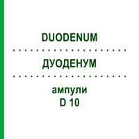 ДУОДЕНУМ (DUODENUM) D 10 ампули 10x1 мл - Гомеопатія WALA HEILMITTEL