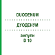 ДУОДЕНУМ (DUODENUM) D 10 ампули 10x1 мл - Гомеопатія WALA HEILMITTEL