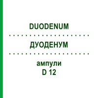 ДУОДЕНУМ (DUODENUM) D 12 ампули 10x1 мл - Гомеопатія WALA HEILMITTEL
