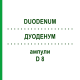 ДУОДЕНУМ (DUODENUM) D 8 ампули 10x1 мл - Гомеопатія WALA HEILMITTEL