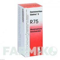 ДИСМЕНОРЕЯ (DYSMENORRHOE) суміш 22 мл - Гомеопатія DR.RECKEWEG