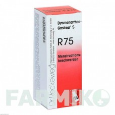 ДИСМЕНОРЕЯ (DYSMENORRHOE) смесь 22 мл - Гомеопатия DR.RECKEWEG