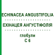 ЭХИНАЦЕЯ АНГУСТИФОЛИЯ (ECHINACEA ANGUSTIFOLIA) C 6 глобули 10 г - Гомеопатия SPAGYRA