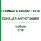 ЭХИНАЦЕЯ АНГУСТИФОЛИЯ (ECHINACEA ANGUSTIFOLIA) D 30 глобули 10 г - Гомеопатия DR.RECKEWEG