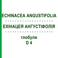 ЕХІНАЦЕЯ АНГУСТІФОЛІЯ (ECHINACEA ANGUSTIFOLIA) D 4 глобули 10 г - Гомеопатія SPAGYRA