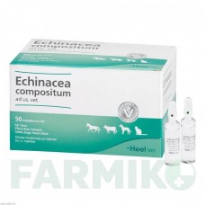 ЭХИНАЦЕЯ КОМПОЗИТУМ (ECHINACEA COMPOSITUM) ампулы 50 шт - Гомеопатия BIOLOGISCHE HEILMITTEL HEEL