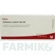 ЕХІНАЦЕЯ (ECHINACEA) D 3 ампули 10x1 мл - Гомеопатія WALA HEILMITTEL