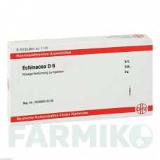 ЭХИНАЦЕЯ (ECHINACEA) D 6 ампулы 8x1 мл - Гомеопатия DHU