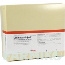ЭХИНАЦЕЯ ИНЬЕЛЬ (ECHINACEA INJEEL) ампулы 100 шт - Гомеопатия BIOLOGISCHE HEILMITTEL HEEL