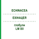 ЭХИНАЦЕЯ (ECHINACEA) LM XII глобули 5 г - Гомеопатия DHU