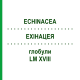 ЭХИНАЦЕЯ (ECHINACEA) LM XVIII глобули 5 г - Гомеопатия DHU